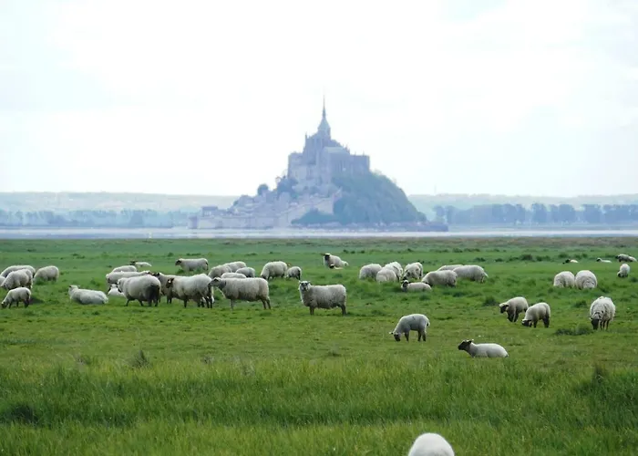 Bed & Breakfast Les Vieilles Digues 3*